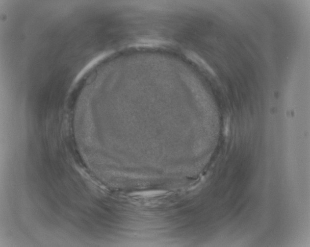 X0000083051208200702231946