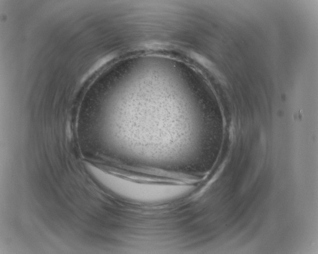 X0000083051209200702231946