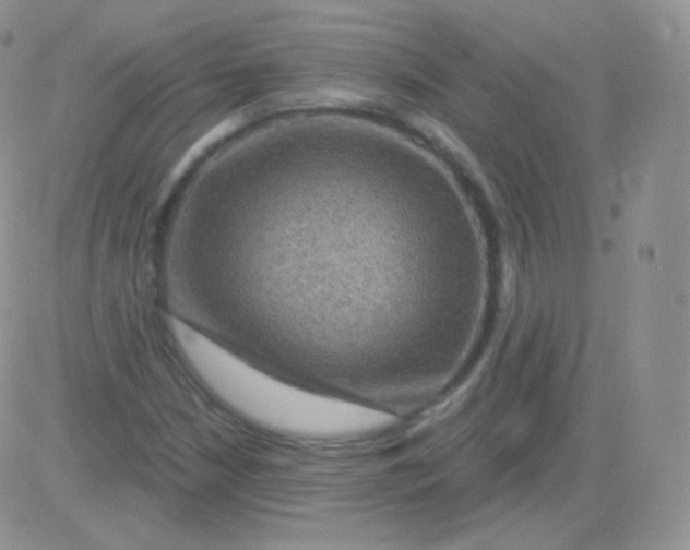 X0000083051210200702231946