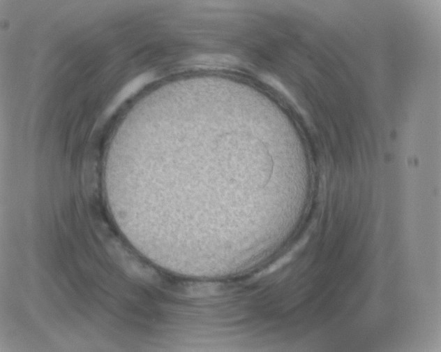 X0000083051211200702231946