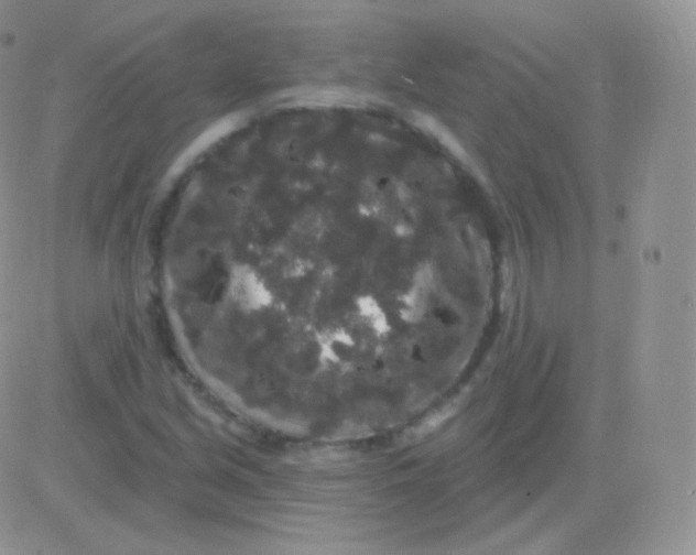 X0000083051213200702231946