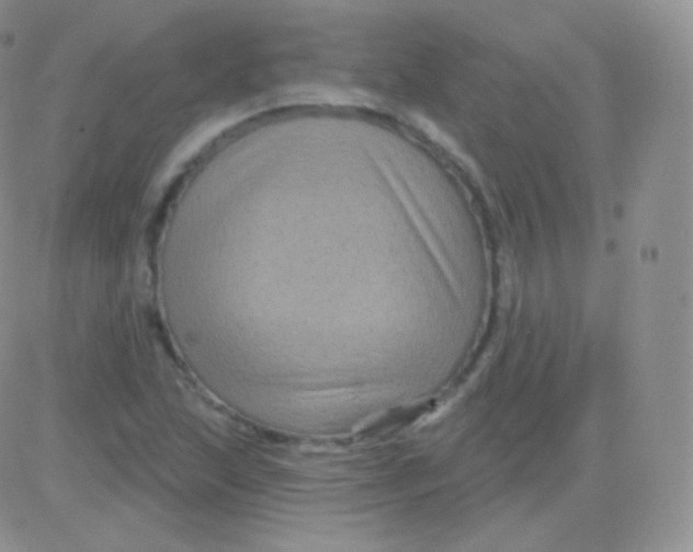 X0000083051215200702231946