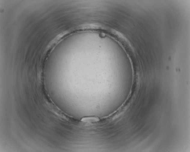 X0000083051217200702231947