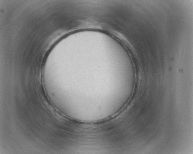 X0000083051220200702231947