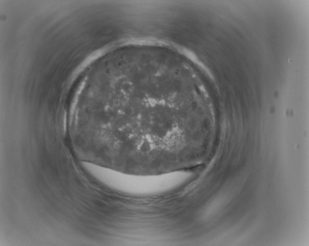 X0000083051221200702231947