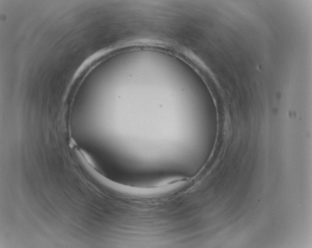 X0000083051222200702231947