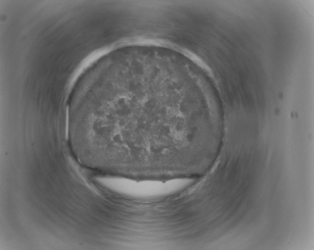 X0000083051223200702231947