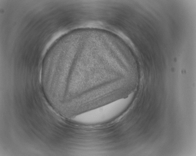 X0000083051224200702231947