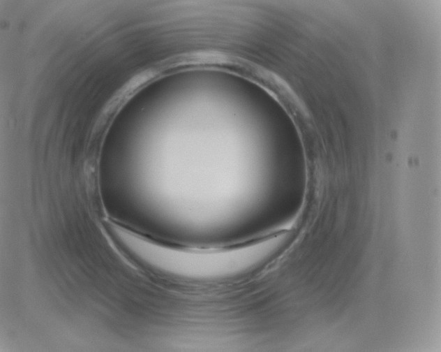 X0000083051225200702231947