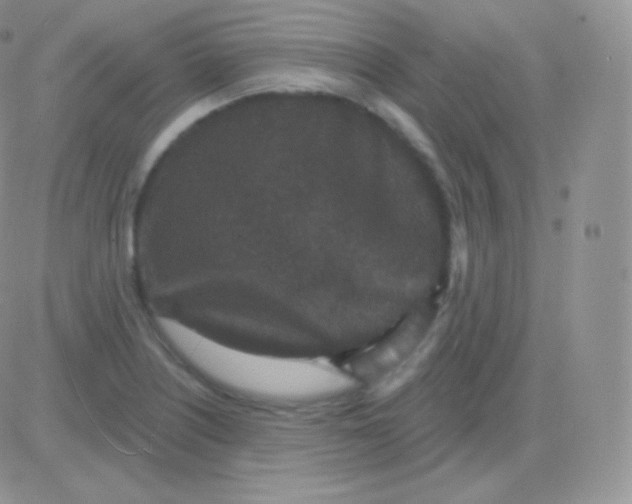 X0000083051226200702231947