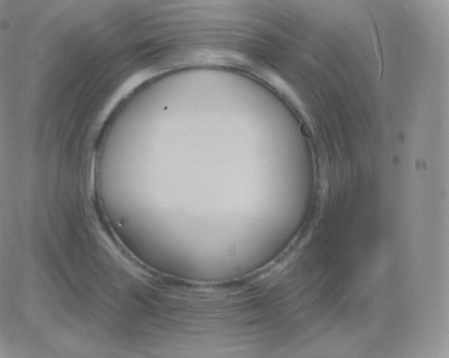 X0000083051227200702231947