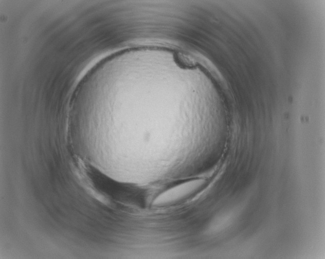 X0000083051228200702231947