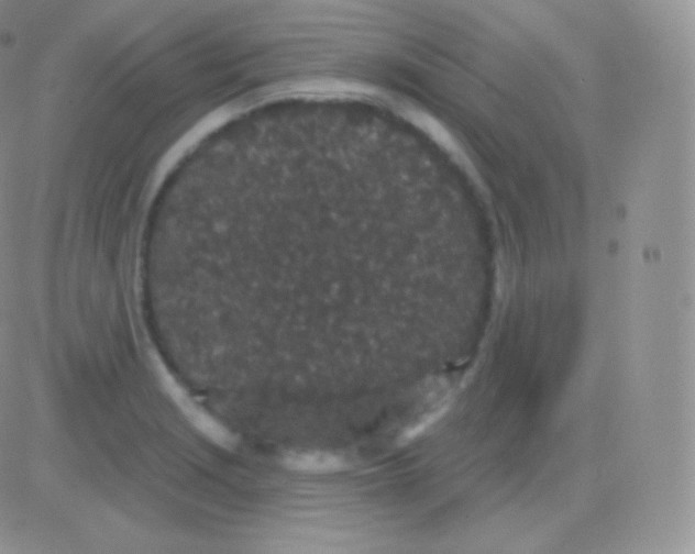 X0000083051229200702231947