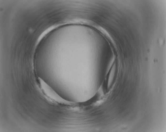 X0000083051230200702231947