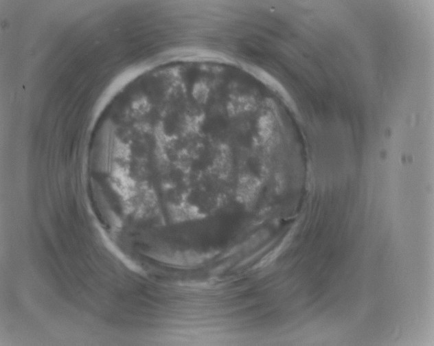 X0000083051231200702231947