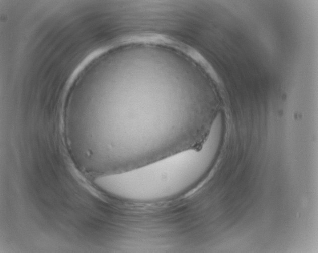 X0000083051232200702231947