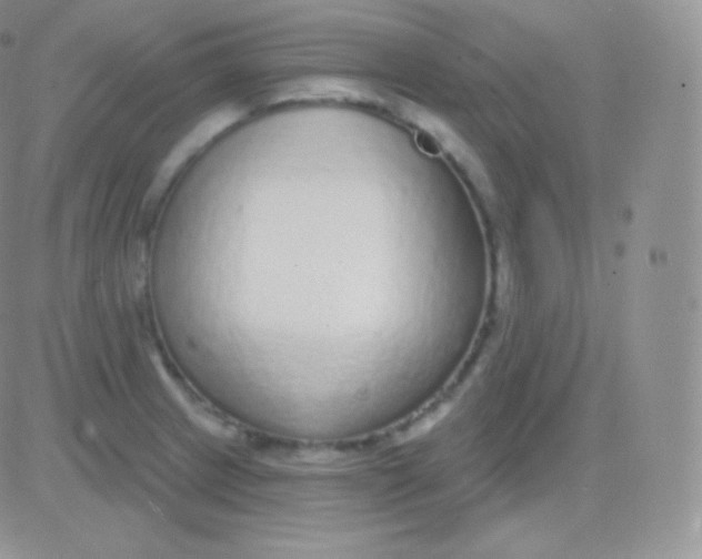 X0000083051233200702231947