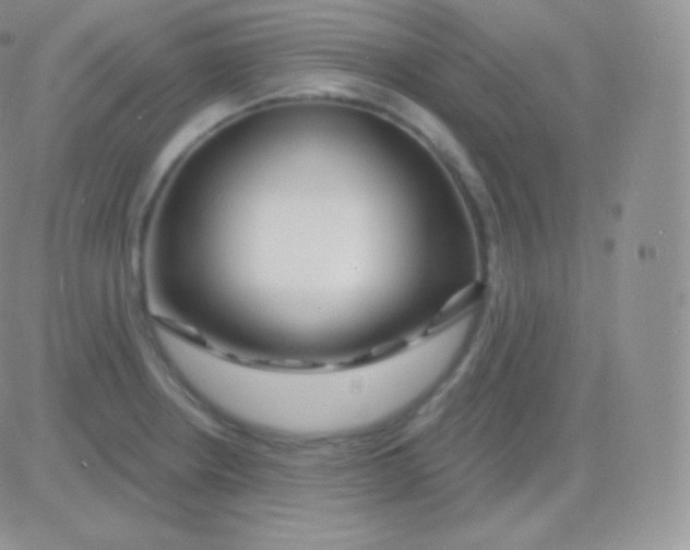 X0000083051234200702231947