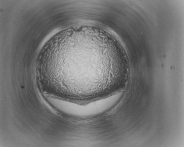 X0000083051235200702231947