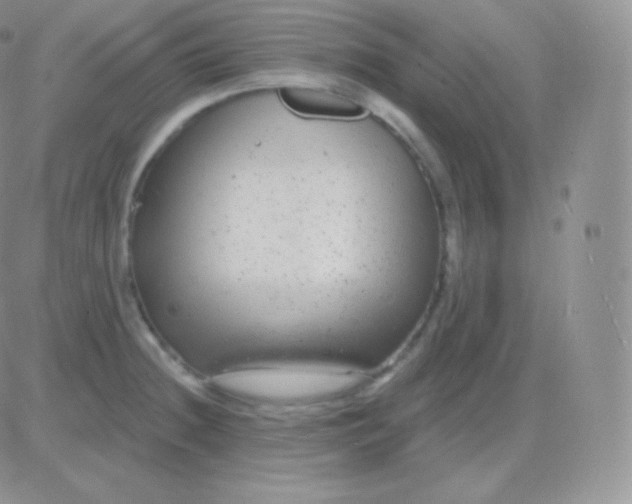 X0000083051236200702231947