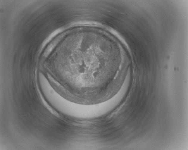 X0000083051237200702231947