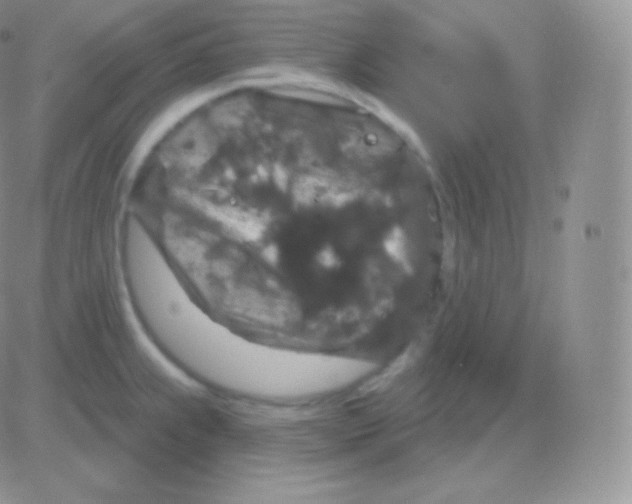 X0000083051239200702231947