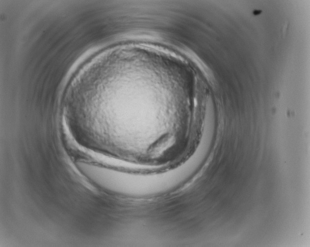 X0000083051240200702231947