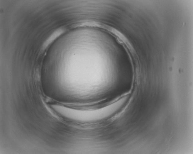 X0000083051241200702231947