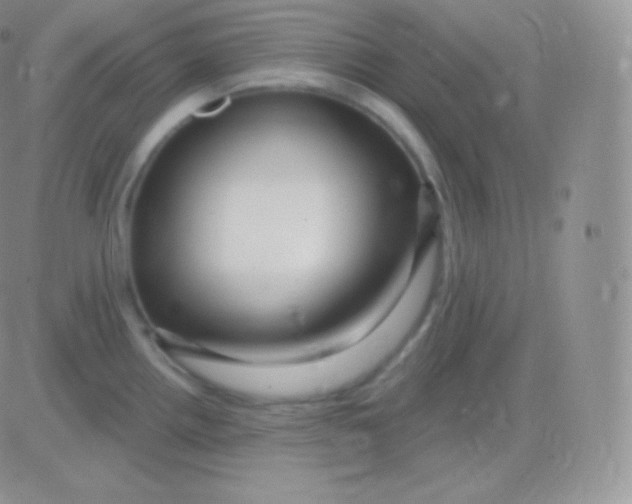 X0000083051242200702231947