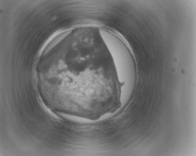 X0000083051243200702231947