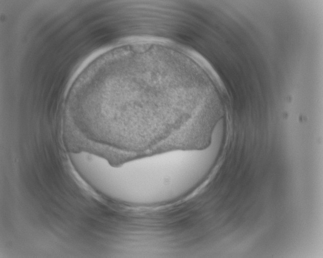 X0000083051244200702231947