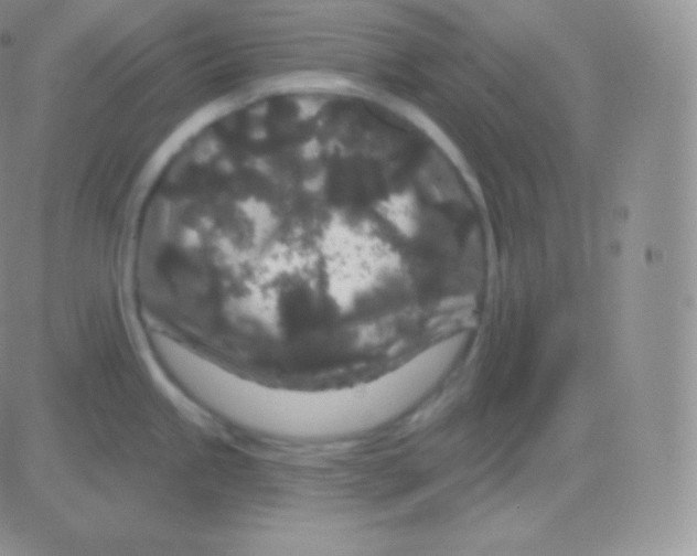 X0000083051245200702231947