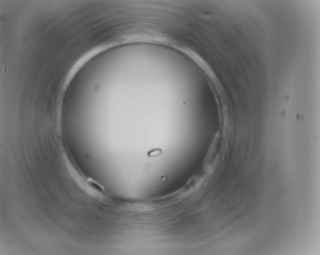 X0000083051246200702231947