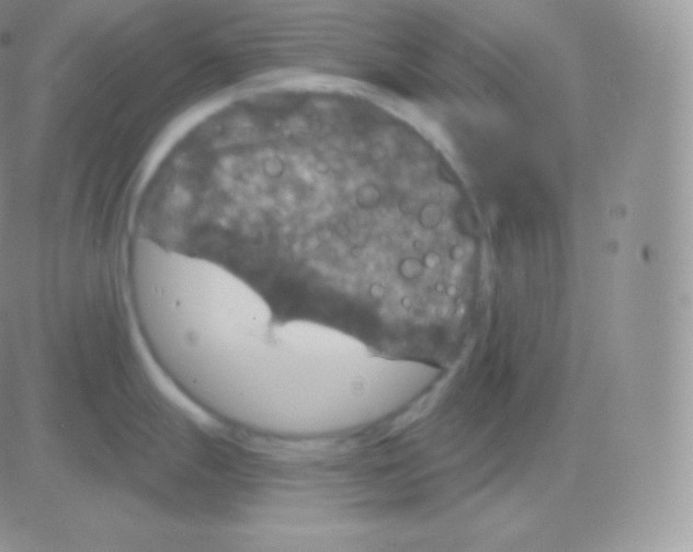 X0000083051247200702231947