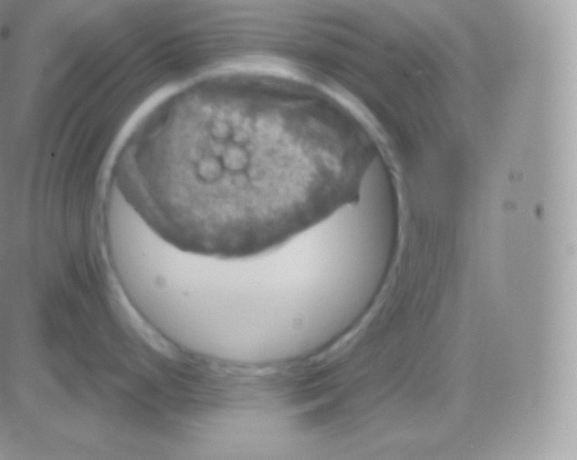 X0000083051248200702231947