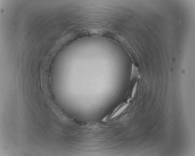 X0000083051249200702231946