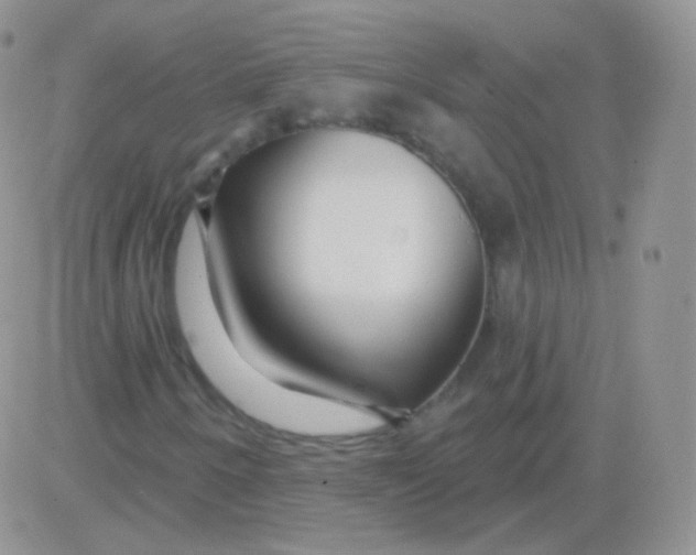 X0000083051250200702231946