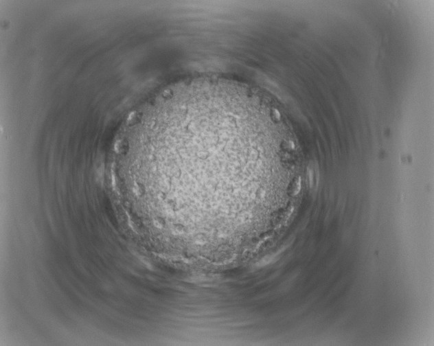 X0000083051251200702231946