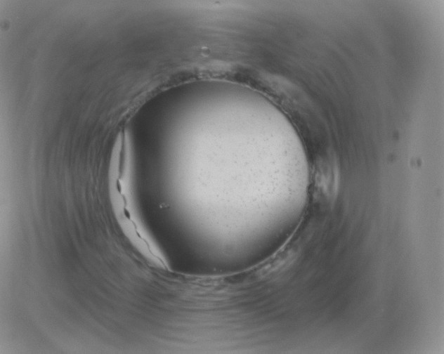 X0000083051252200702231946