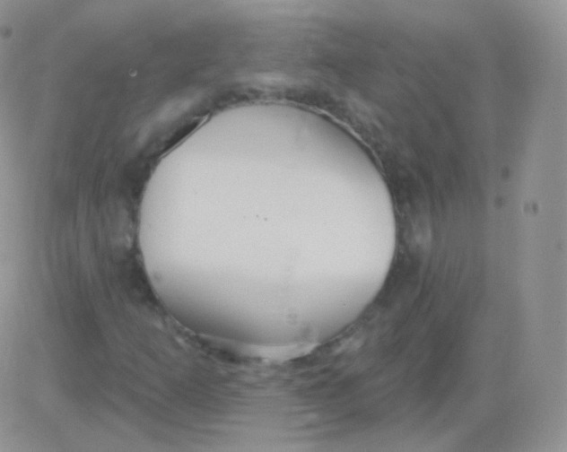 X0000083051253200702231946