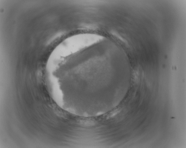 X0000083051254200702231946