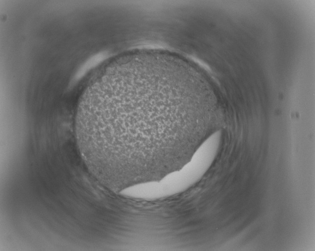 X0000083051255200702231946