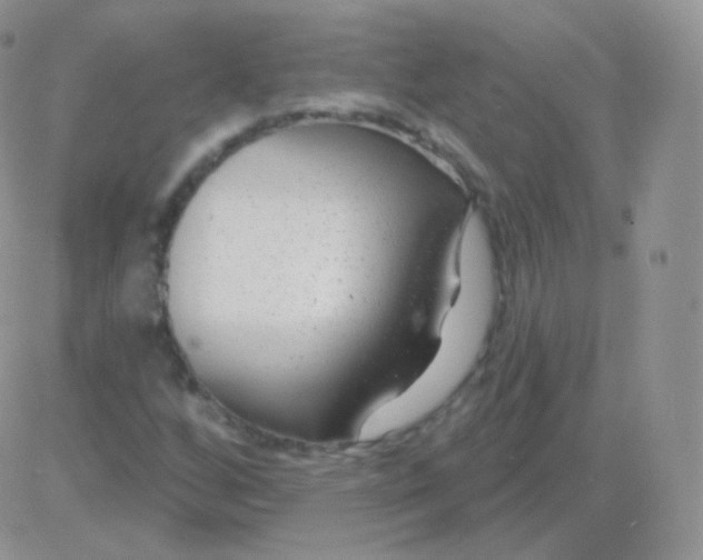 X0000083051256200702231946