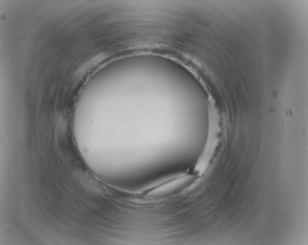 X0000083051257200702231946