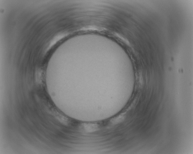 X0000083051258200702231946