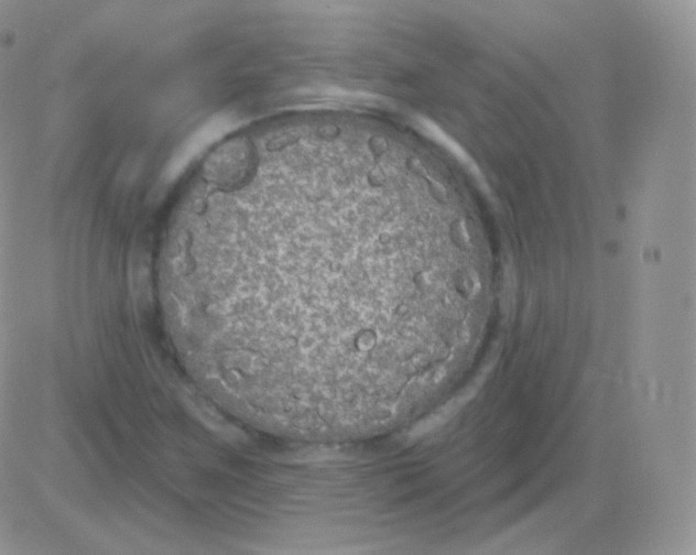 X0000083051259200702231946