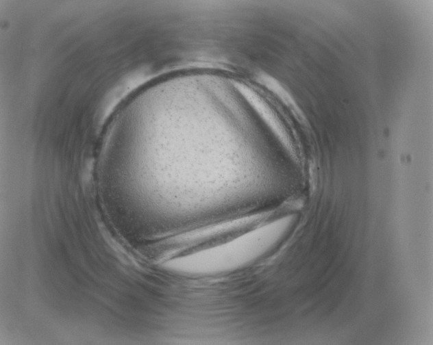 X0000083051260200702231946