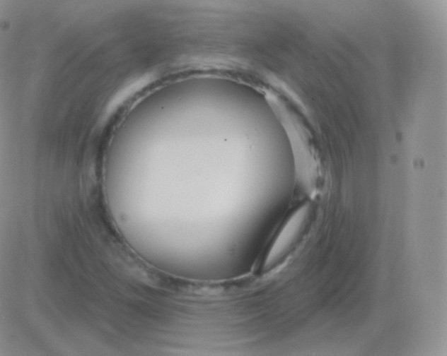 X0000083051261200702231946