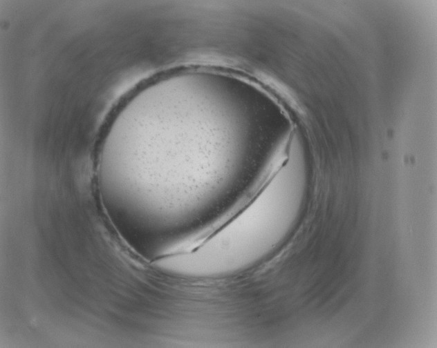 X0000083051264200702231946