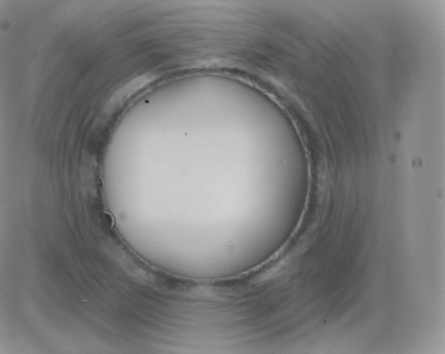 X0000083051265200702231946